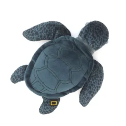 National Geographic Peluche Moyenne Tortue Verte 10 National Geographic Peluche Moyenne Tortue Verte -Disney 412303312887 2