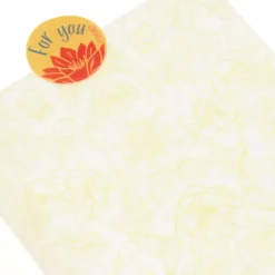 Disney Store Coffret De Pâtisserie à Offrir La Princesse Et La Grenouille 12 Disney Store Coffret De Pâtisserie à Offrir La Princesse Et La Grenouille -Disney 465013382831 4