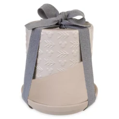 Disneyland Pot De Fleur Mickey Mouse Homestead 9 Disneyland Pot De Fleur Mickey Mouse Homestead -Disney 465043672339 3